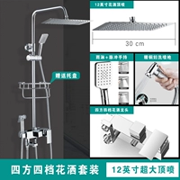 D3 FUN FUNCTION SHOW [12 -INCH TOP SPRAY]
