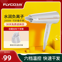 Flying Co Hair Dryer Home Hairdressshop Unscathy Negative Ion Silent High Power Hair Salon Electric Blow Wind Dryer Cold Hot Air