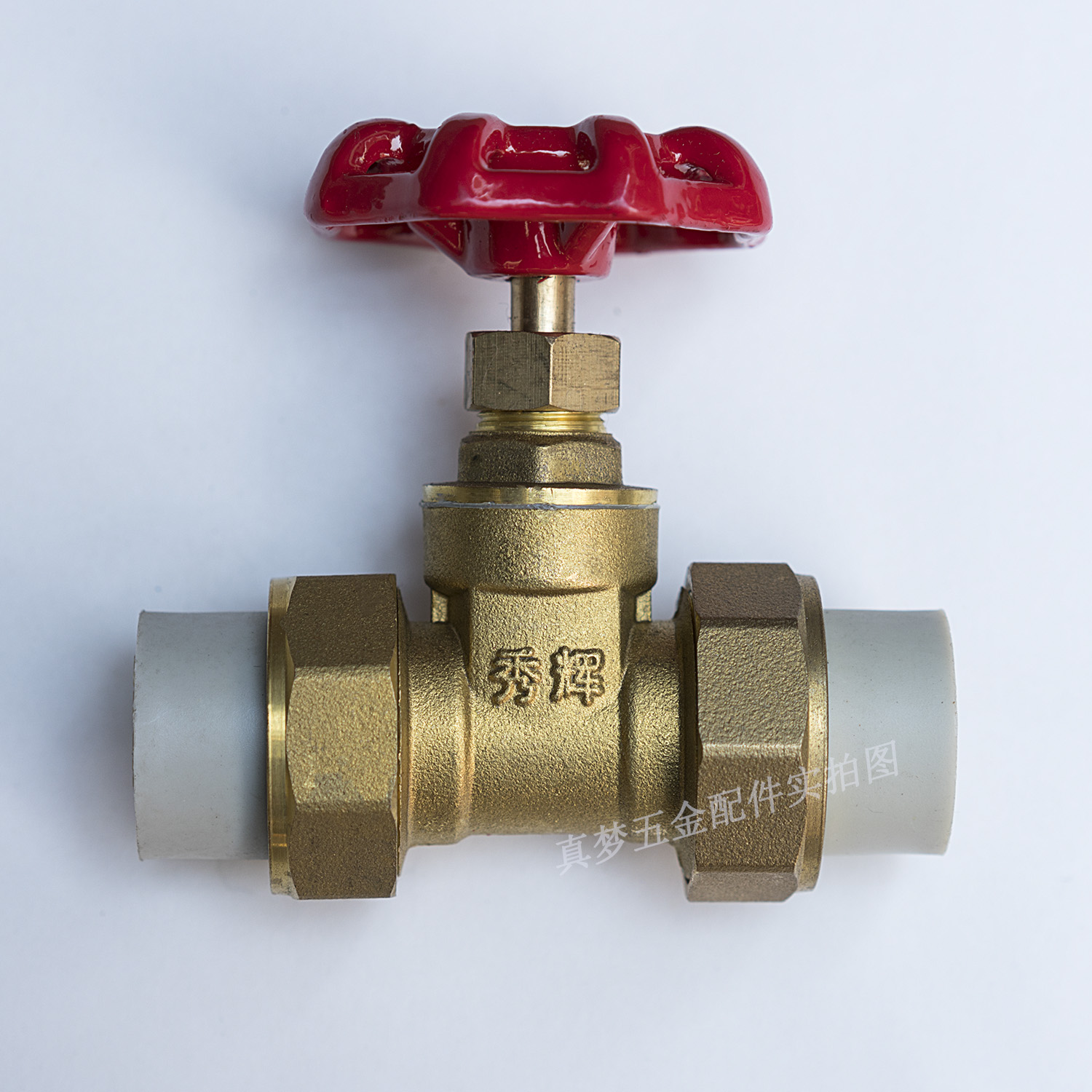 Xiuhui DN20 4 points 6 points all copper PPR double live gate valve Copper gate valve water valve master valve