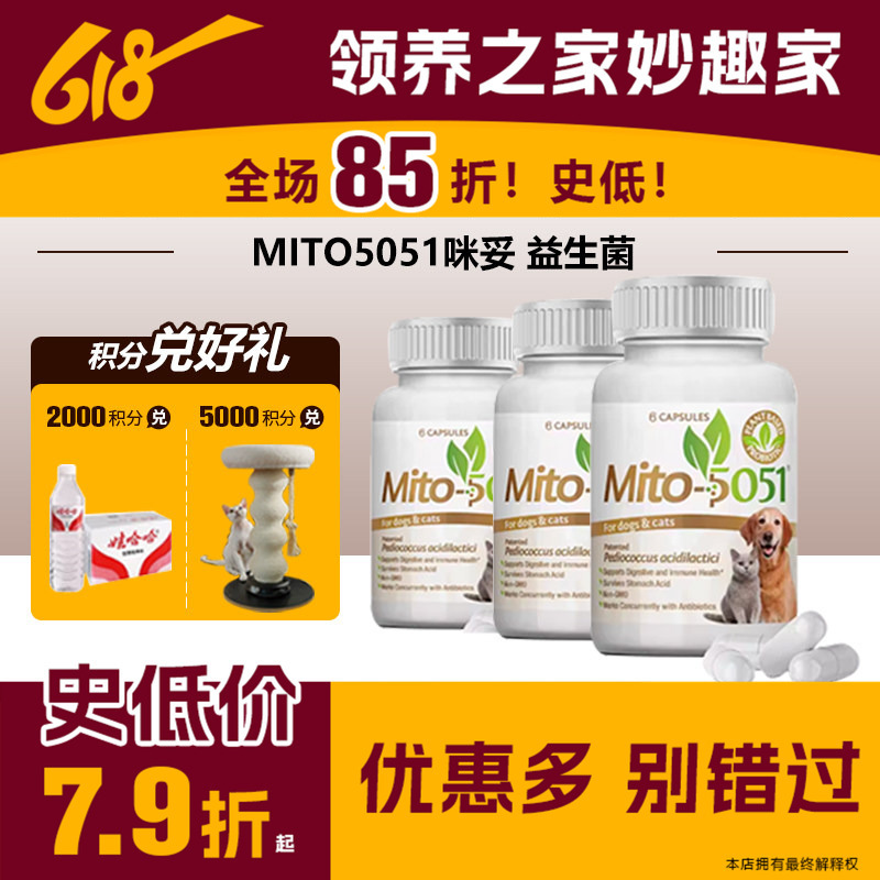 Adoption Home Mito5051 Mito Cat Probiotics for Regulating the Stomach, Kidneys, Urinary Tract, and Soft Stools