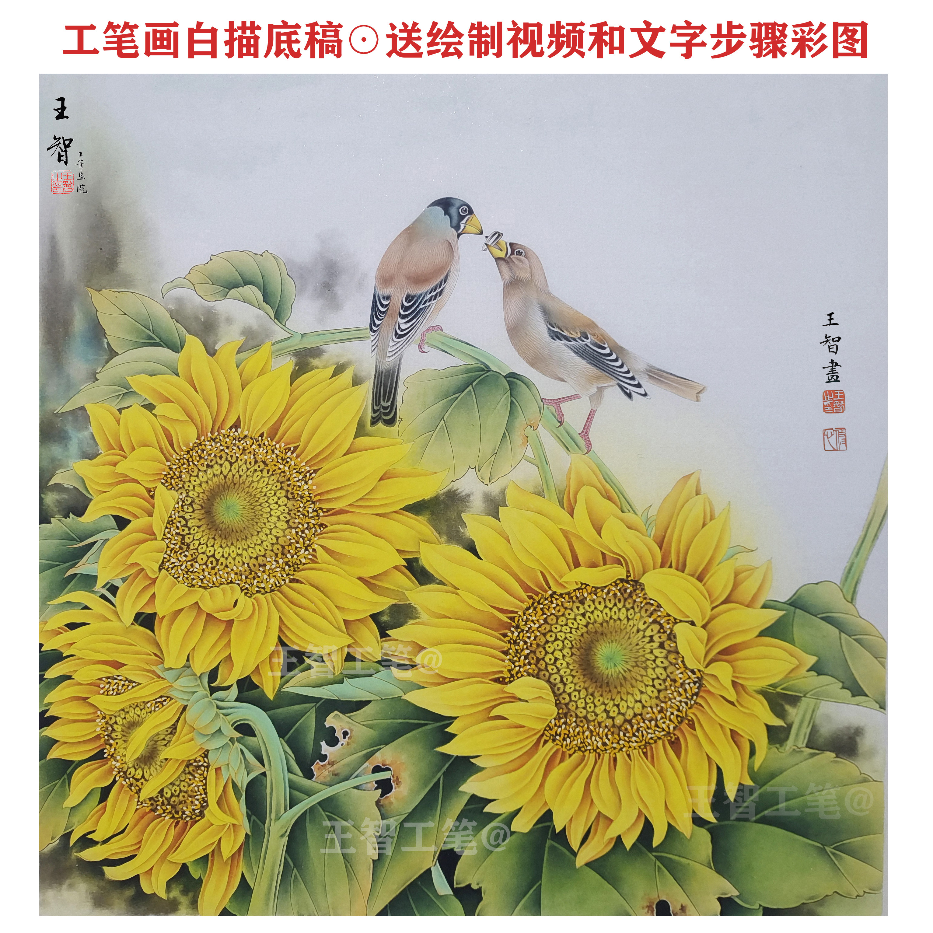 工笔画白描底稿六尺紫藤花国画初学者素材线稿实物大幅工笔画线稿打印稿