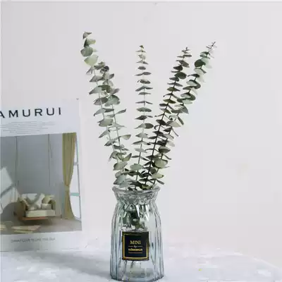 Eternal Eucalyptus dried flowers Air-dried real flowers ins Nordic style home decoration office decoration flower arrangement photo props