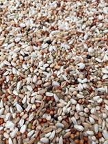 Spray nest pigeon food brooding pigeon food letter young pigeon corn-free small particle nutritional feed pigeon food 20 pounds