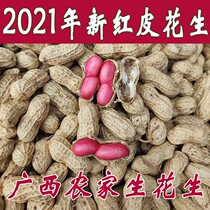 2021 Fresh raw peanuts 5 catty and dry with shell Guangxi quality red leather peanuts rice farmers self-planting and wet