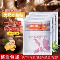 Fever Han Ginger Magic Sticker Warm Patch Hot Compress Ginger Paste Plantar Health Care Foot Patch Foot Patch Meridians Meridians Ginger Acupoints Sticker