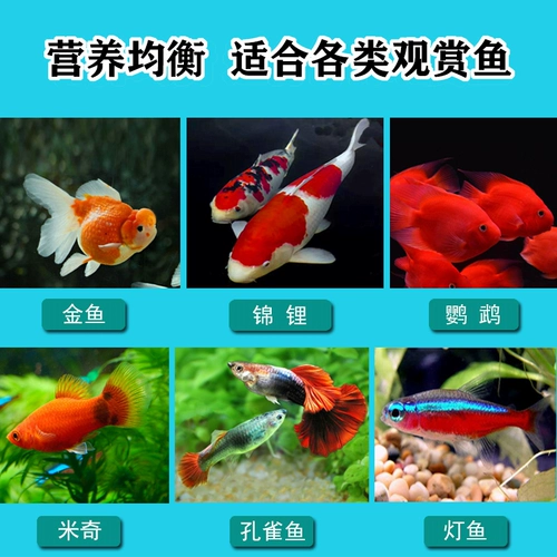 Рыба для корма Brocade Goldfish Food Food Маленькие частицы плавают на мелких частицах рыбы, рыбных ингредиентов, рыб и попугай.