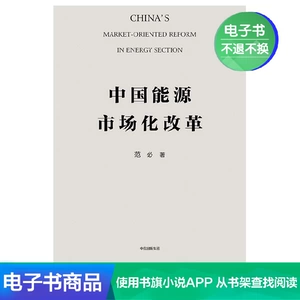 [E -Book Sales не будет возвращено] Рынок энергетики Китая.