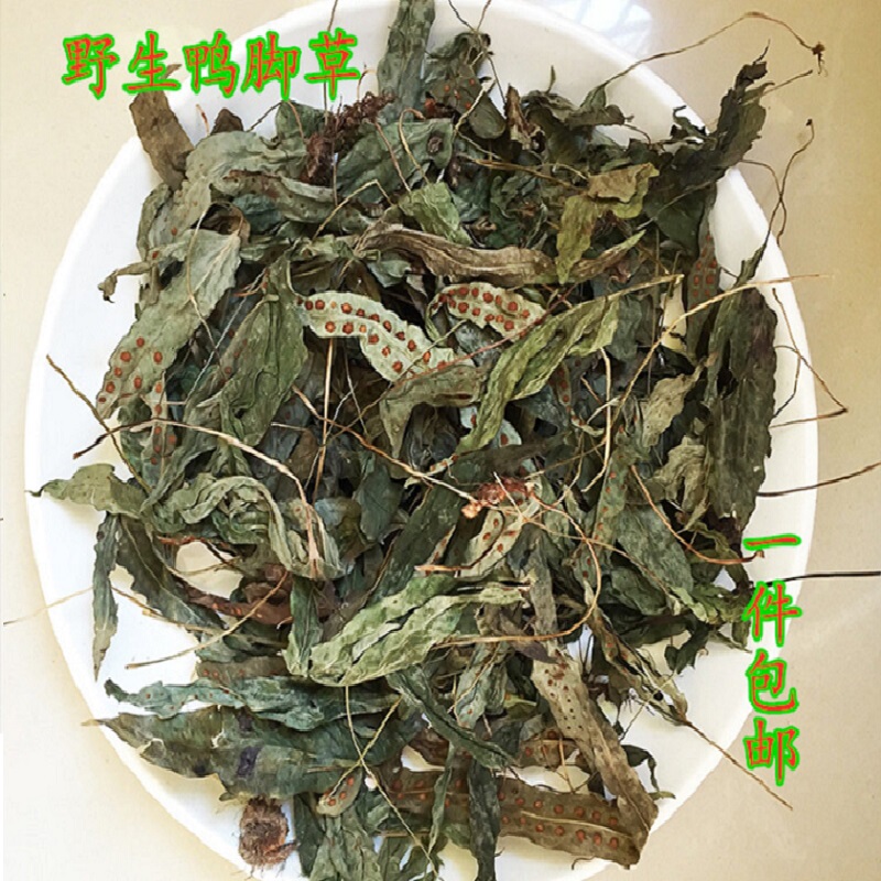 Duck's Foot Grass, Duck's Paw Grass, Golden Chicken's Foot, Goose's Paw Golden Star Grass, Appetizing and Digestive Herbal Ingredients for Soup, Free Shipping