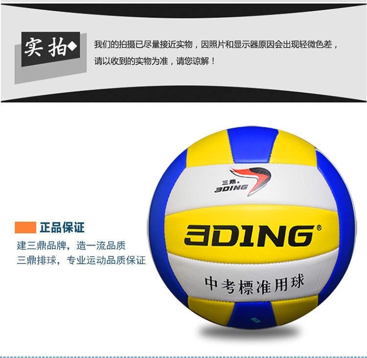 Ballon de volley-ball - Ref 2009909 Image 9