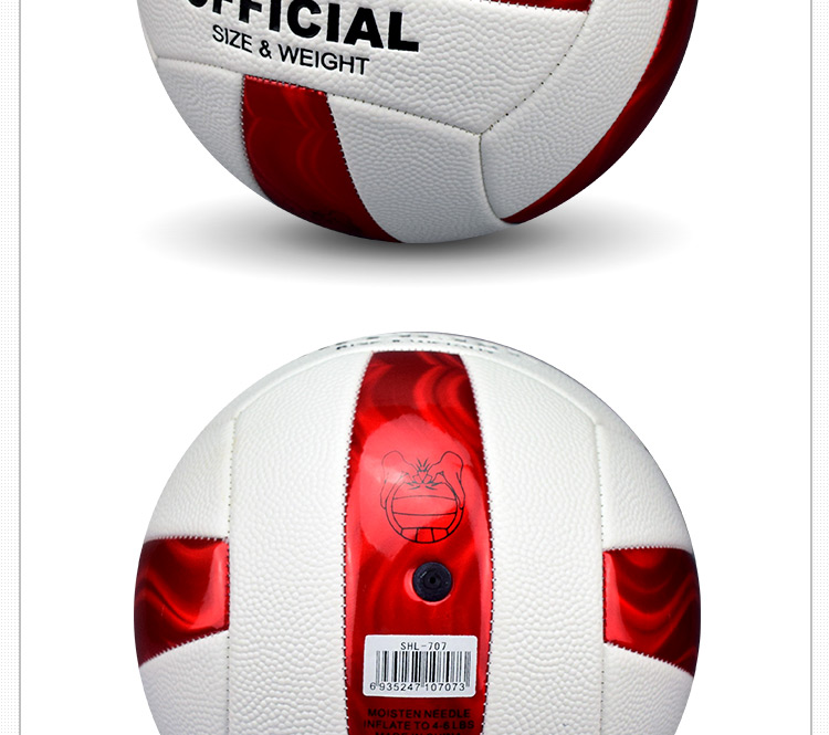 Ballon de volley-ball - Ref 2008828 Image 23
