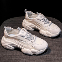 High Quality comfortable and good match ~ New Advocate Daddy shoes ins tide summer breathable thin casual 1