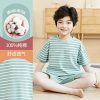 DNY595 Bean Green#2K