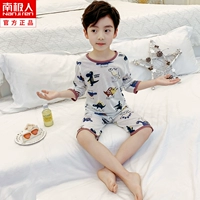 DNY015 Little Dinosaur White#5n