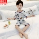 DNY015 Little Dinosaur White#5n