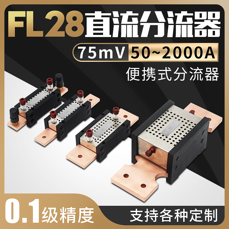 Fl-28 High-Precision Shunt 0.1 Grade Dc 75Mv 20A 50A 100A 200A 400A 600A Fl-28 High-Precision Shunt 0.1 Grade Dc 75Mv 20A 50A 100A 200A 400A 600A