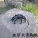 Lễ hội ma Halloween Halloween Đạo cụ cảnh Big Spider Ngôi nhà ma ám Trang trí phòng Spider Spider Spider Web - Sản phẩm Đảng / Magic / Hiệu suất