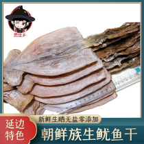 Korean raw squid dry goods 500g 10-15 new unsalted light sun ready-to-eat Northeast Yanbian specialty