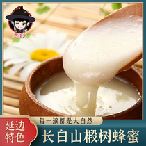 Tilia honey Changbai Mountain farmhouse self-produced honey linden tree snow honey Linden Tree crystallization honey 500g