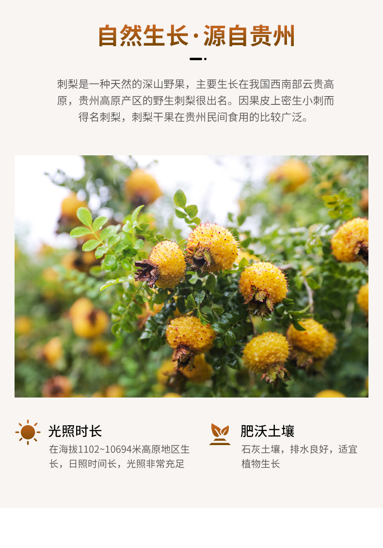 【全留香】刺梨干贵州土特产