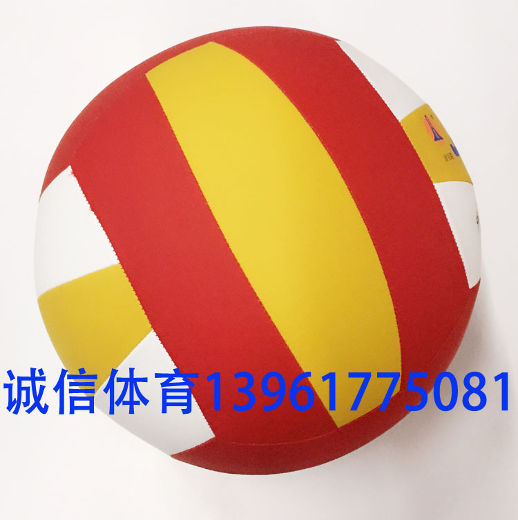 Ballon de volley-ball - Ref 2010112 Image 5