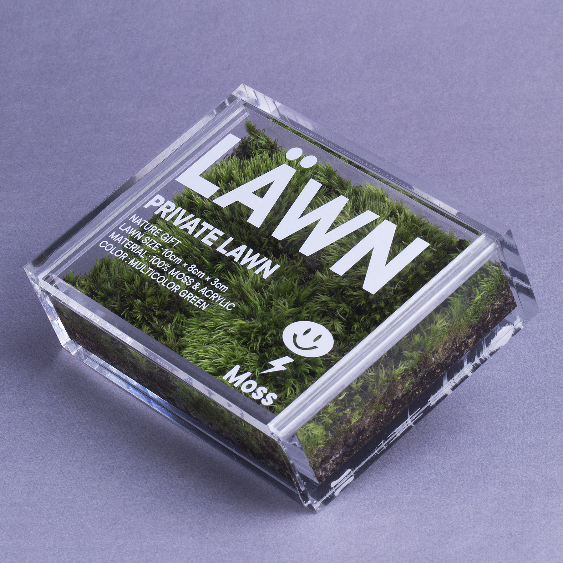 PAPERVOICE Private Lawn Fun Bryophyte Micro landscape ins Indoor Ecological Valentine's Day gift