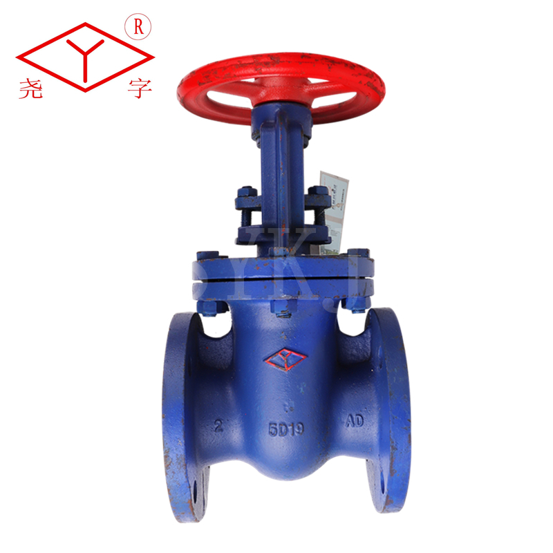 Large valve cast iron parallel double-gate valve Z44T W-10 W-10 16 DN40-400