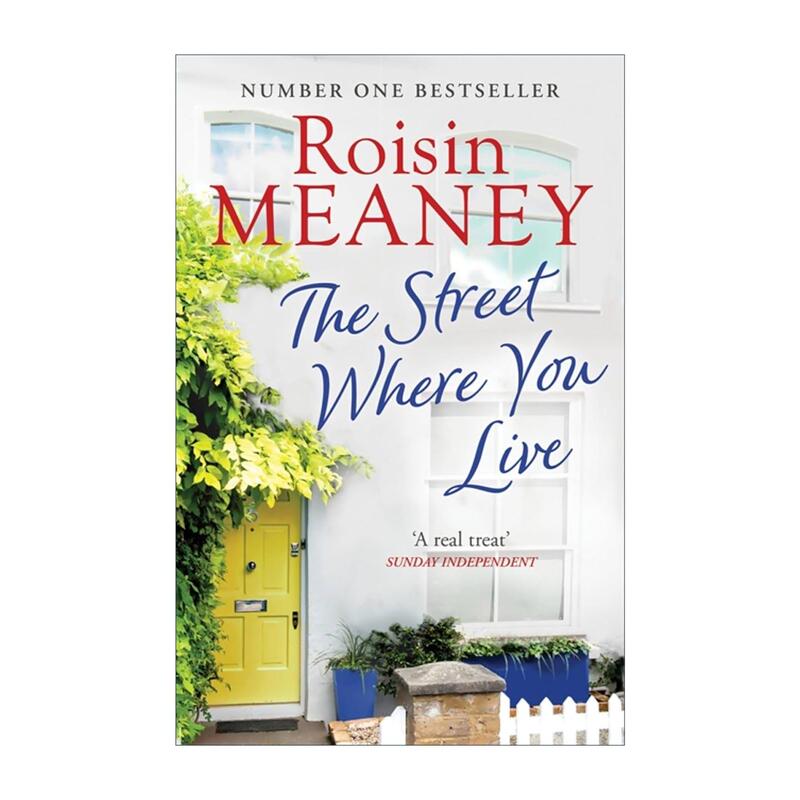 English Original Version the Street Where You Live the Secret of the Corner Irish Version of the Unquiet Street Roisin Meaney English Version Imported English Original Books