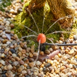 Капли фруктовых деревьев капли орошения Автоматическое водопроводное устройство на 360 градусов с атомированным спреем, залившаяся головка PE с каплей -головкой