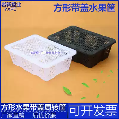 Custom plastic square fruit basket picking basket round box grape Bayberry basket with lid pigeon transport plastic box