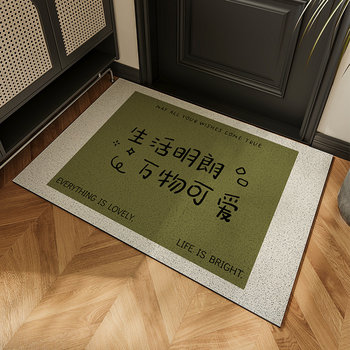 Entrance floor mat, entrance door, porch mat, household wire loop anti-slip carpet, scraping sand, mud and dust foot mats