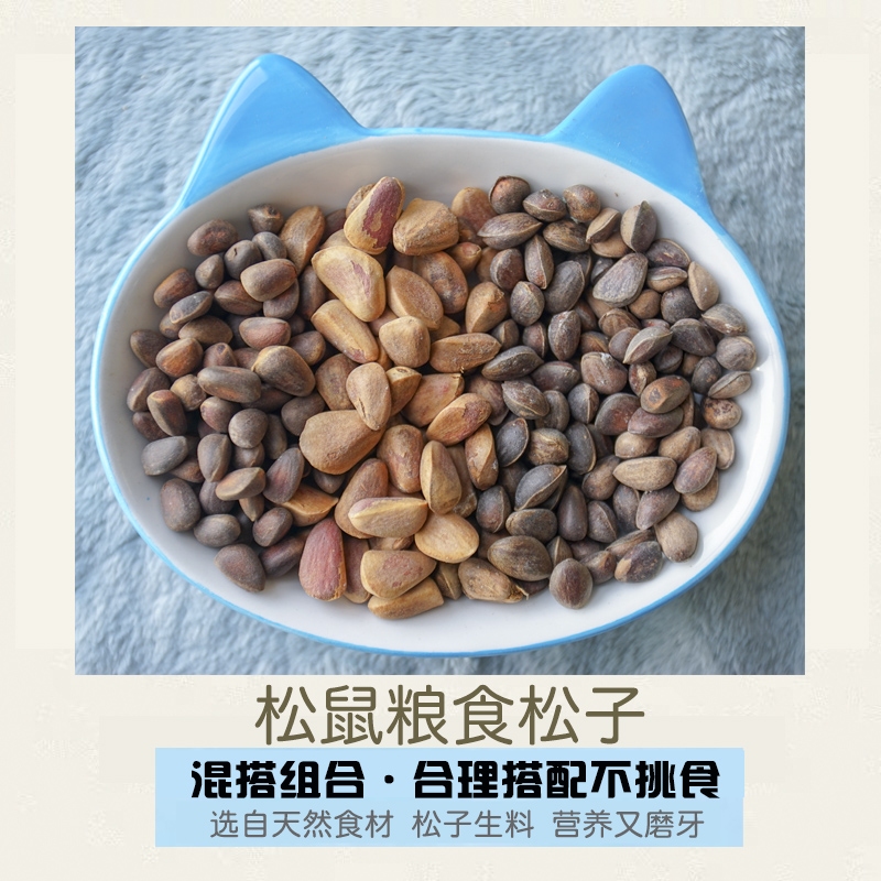Squirrel grain pine nut food staple food Devil King Jinhua snow squirrel eats molar feed
