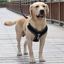 New dog traction rope medium and large dog chest back type summer breathable comfort anti-break vest explosion-proof punch