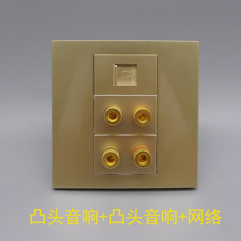 Champagne Gold 86 Type Double Sound RJ45 Five Class CAT5 Computer Broadband Network Road Network Route Wall Socket Panel Switch