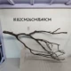 Темно -фиолетовый 2P625021463