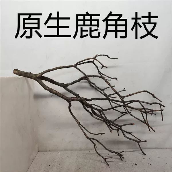 Товары от 欣苑水族