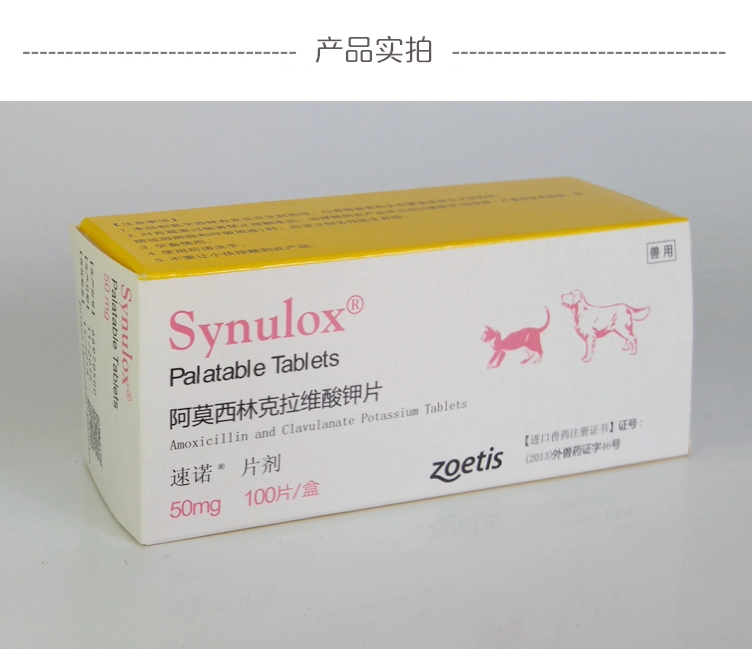 Viên 50mg chó mèo thuốc cảm lạnh chó ho miệng mèo viêm mũi chi nhánh viêm mũi 10 miếng - Cat / Dog Medical Supplies