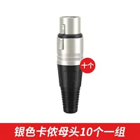 10 Серебряный картридж Мать