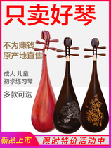 Shengle adult childrens pipa musical instrument beginner grade test pipa Red Rosewood hardwood PIPA