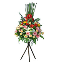 Hong Kong-style opening flower basket Same city flower delivery Shenzhen Wuhan Beijing Guangzhou Nanjing Foshan Chengdu Dongguan Hefei