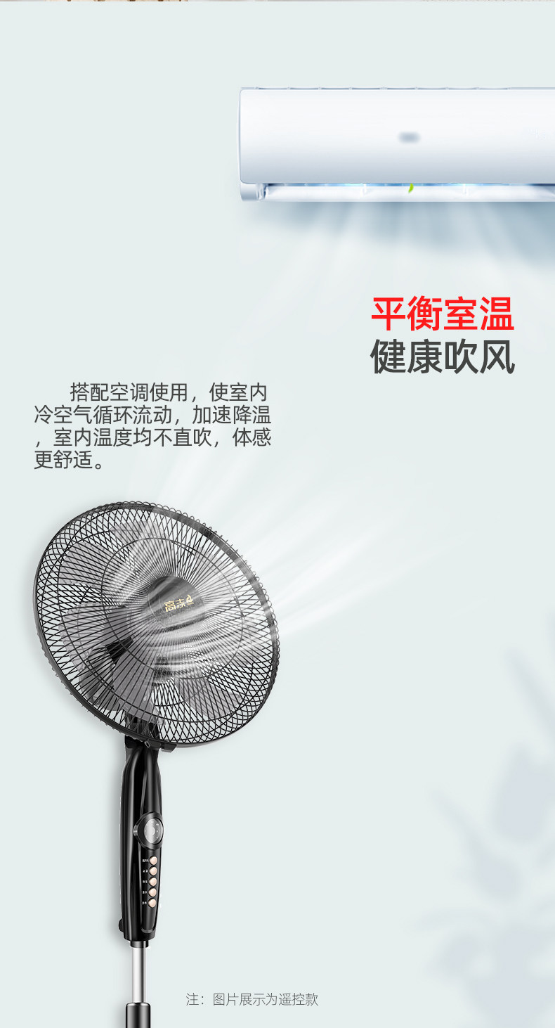 志高 三档立式落地扇 图11