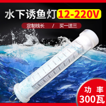 Underwater bait light 12v squid lamp ultra-bright polyfish lamp deep water raft fishing light yellow light launching fishing light glare