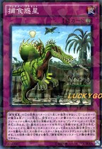 (Game King Lucky Store) N flat card NPR flat prey Predator star SP6