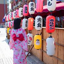 Japan-style Lantern PVC Outdoor Waterproofing Japan Residence Wine House Burning Meat Shop Cherry Blossom Beauties Shop Decoration Rice White DIY