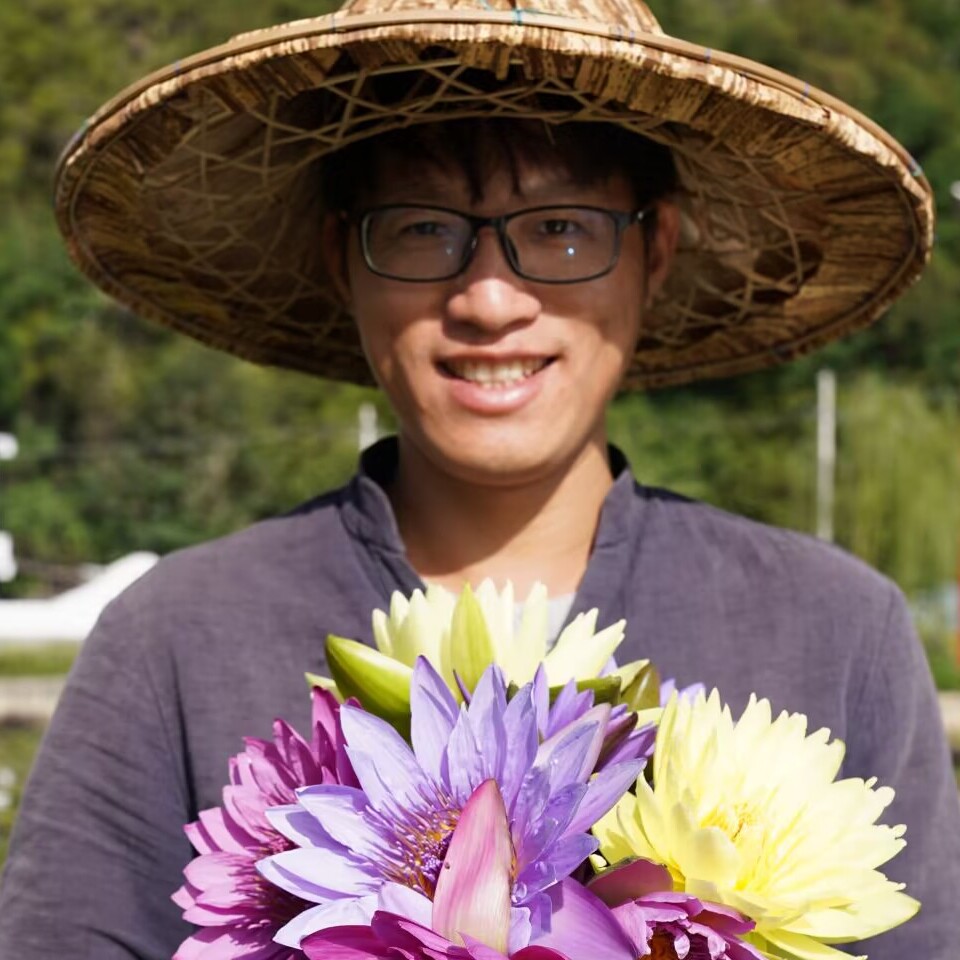 农夫茗程香水莲