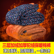 Camel velvet cotton pants womens high waist plus velvet thickened elderly warm pants winter grandma large size loose middle-aged and elderly mother cotton pants