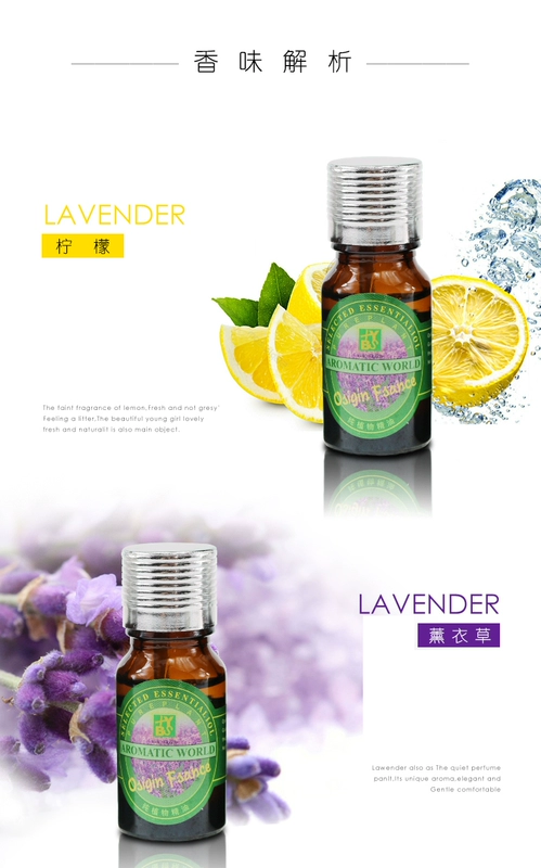 Camellia xe nước hoa xe hơi điều hòa không khí cửa hàng nước hoa clip hương thơm xe trang trí nội thất đồ trang sức hương thơm kéo dài - Trang trí nội thất đồ dcor vintage