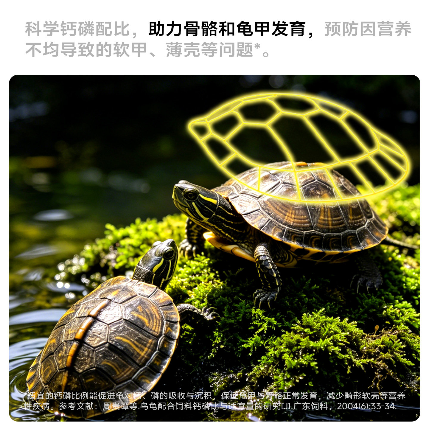 龟粮草龟巴西龟小乌龟饲料虾鱼干,幼小龟专用+半水龟通用,亲测超爱吃!-观赏龟-淘宝好物网