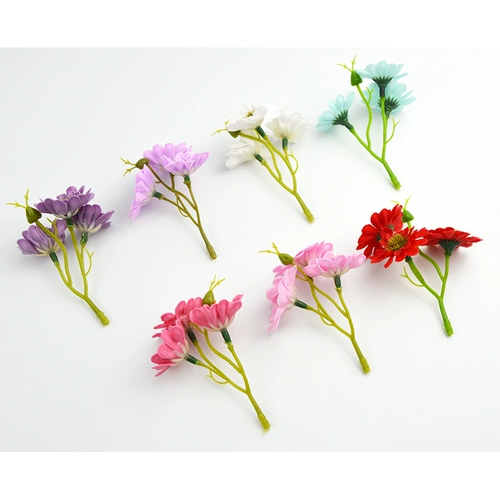 Ono Chrysanthemum Blossom Top Zou Ju Simpan Flower Simulation Flow