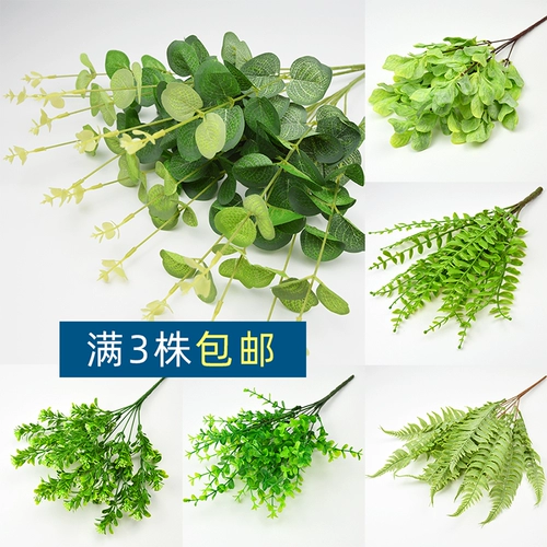 Высокая симуляция денег листья вставки цветок зеленый листья