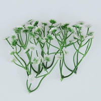 121 маленький Цинлиан 50